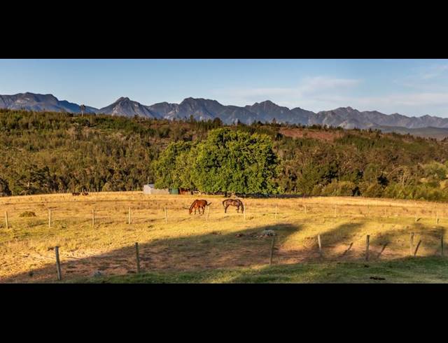 FARM FOR SALE IN PLETTENBERG BAY RURAL